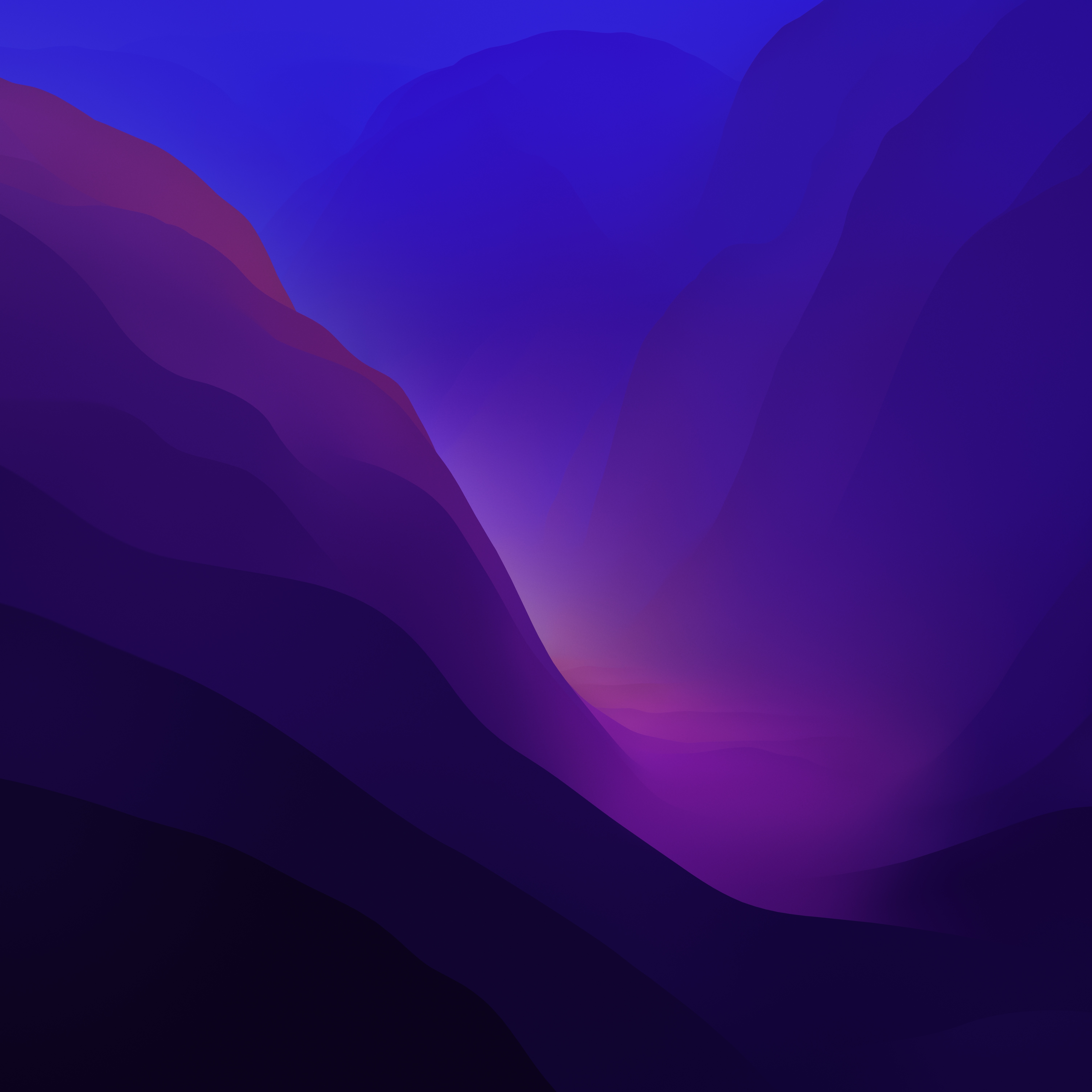 Monterey Purple